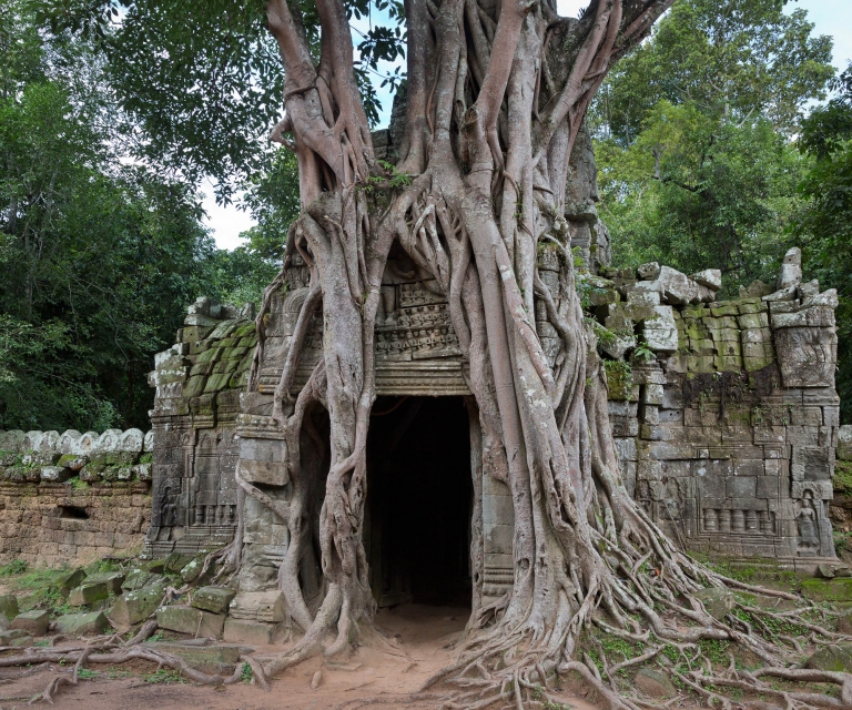 Angkor Wat