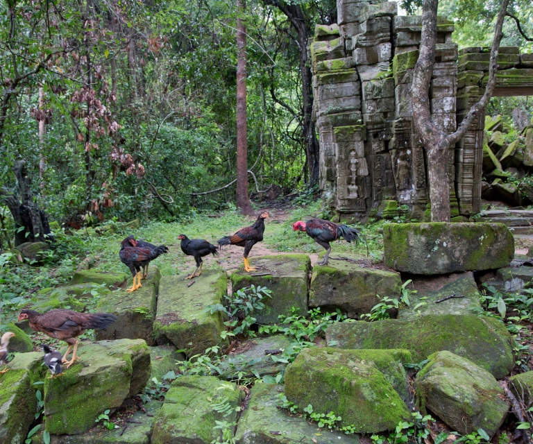 AnkorWat24