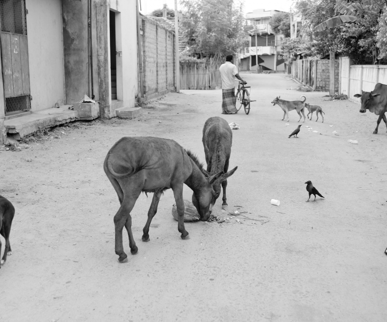 AzG in Sri Lanka